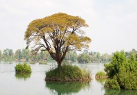 Laos' famous Khong Island - one of the only country's with inland islands. 