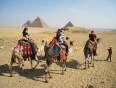 Camel riding at the Pyramids of Giza
