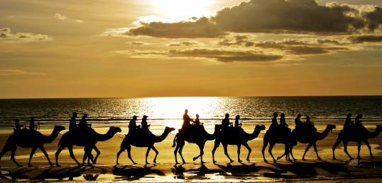 Camel riders at sunset in Dahab
