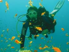 A diver with brightly coloured fish in the Red Sea