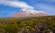 Kilimanjaro - Africa's highest mountain and one of our most popular African Treks.