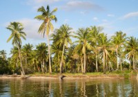 A common tropical coastline scene in lovely Mozambique