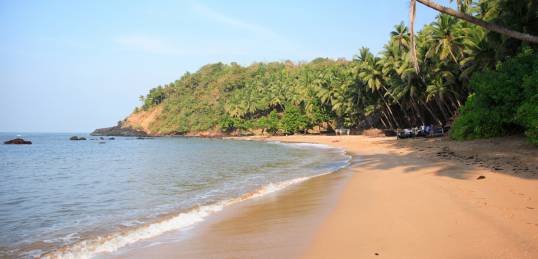 A beautiful beach in Kerala with lots of palm trees