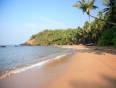 A beautiful beach in Kerala with lots of palm trees