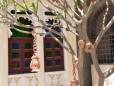 A tree at the famous Ravla Khepur Hotel