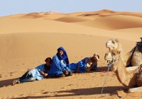 Berbers and their camels in the Sahara Dersert