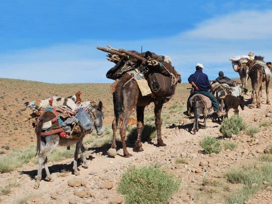 Migration of the Berbers - 11 Days