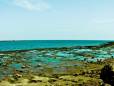 Rocky beach in Mombasa