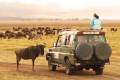 People on safari in Ngorongoro Crater, watching wildebeest and zebra