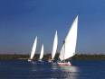 Felucca sailing on the River Nile