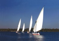 Felucca sailing on the River Nile
