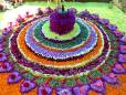 Onam festival flowers