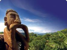 Lush Costa Rican countryside
