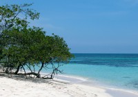 A pristine white sand beach and azure waters of Bocas del Toro in Panama