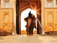 An elephant entering the Amber Fort in Jaipur