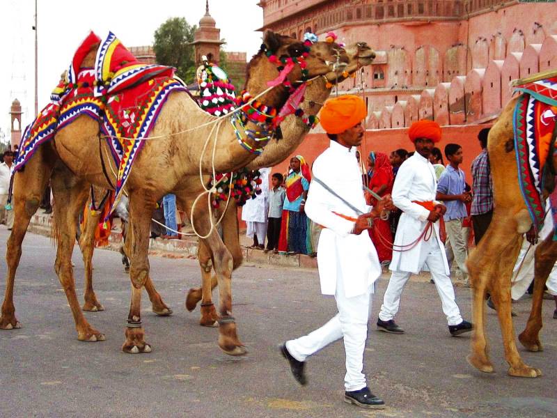 jaipur