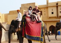Passengers enjoying the majestic elephant ride into Amber Fort