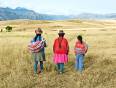 A family walking in Peru - meet the locals on our Peru Tours