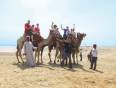 Family on camels at the Pyramids of Giza