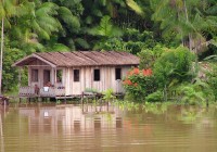 A wooden house in the Amazon rain forest