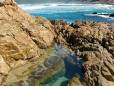 Rockpool at Plettenberg