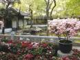 Flowers in a Suzhou garden