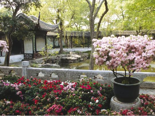 Postcard From China - 10 Days