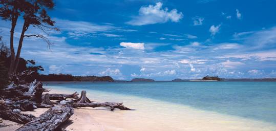 A beautiful beach in the southern state of Kerala