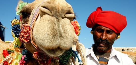 A man and his camel at a festival in Rajasthan