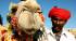 A man and his camel at a festival in Rajasthan