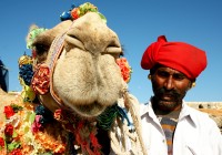 A man and his camel at a festival in Rajasthan