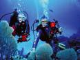 Two divers exploring the Red Sea