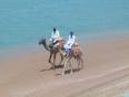 Egyptian men riding camels along the coast in Dahab