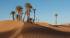 Palm trees in the Sahara Desert