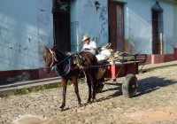 Locals in Cuba use traditional transport including horses and carts. Meet some locals on out Cuba To