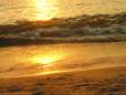 Golden sunset