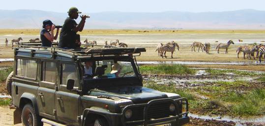 People game watching from their jeep on safari in Africa