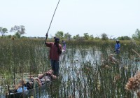 Head into the Okavango Delta on a mokoro on our African Safaris 