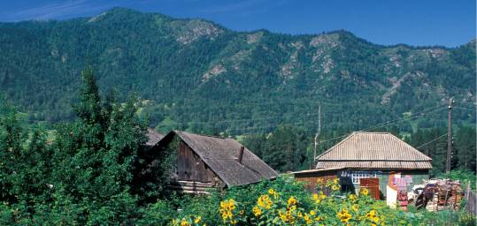 Traditional Russian wooden houses in the beautiful Siberian countryside
