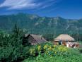 Traditional Russian wooden houses in the beautiful Siberian countryside