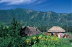 Traditional Russian wooden houses in the beautiful Siberian countryside