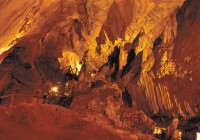 Langs cave in Borneo - a highlight of one of our Borneo Tours