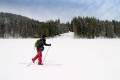 A man cross country skiing in the Ural Mountains, Russia