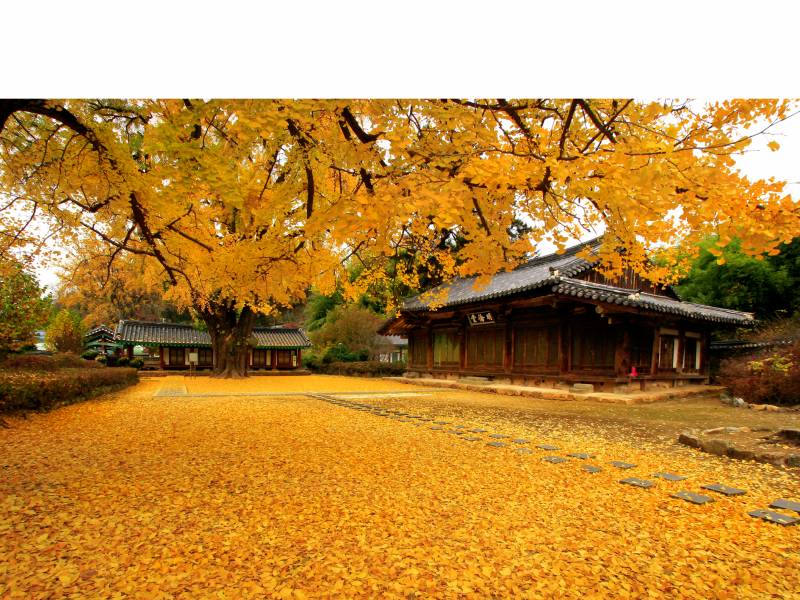 Trips & Tours to South Korea 2021/2022 | On The Go Tours