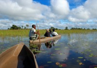 Kick back and relax in a mokoro on your way to the Okavango Delta on an African Safari