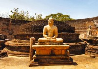 The giant buddha at Polonnaruwa on a Sri Lanka tour.
