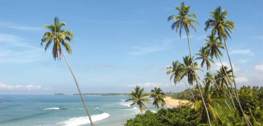 Relax on beautiful palm tree filled Bentota Beach at the end of a Sri Lanka tour.