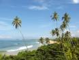 Beautiful palm tree filled Bentota Beach