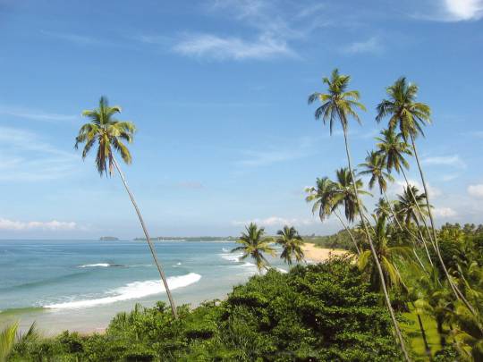 Sri Lanka Unplugged - 15 Days