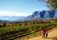 The Stellenbosch wine lands